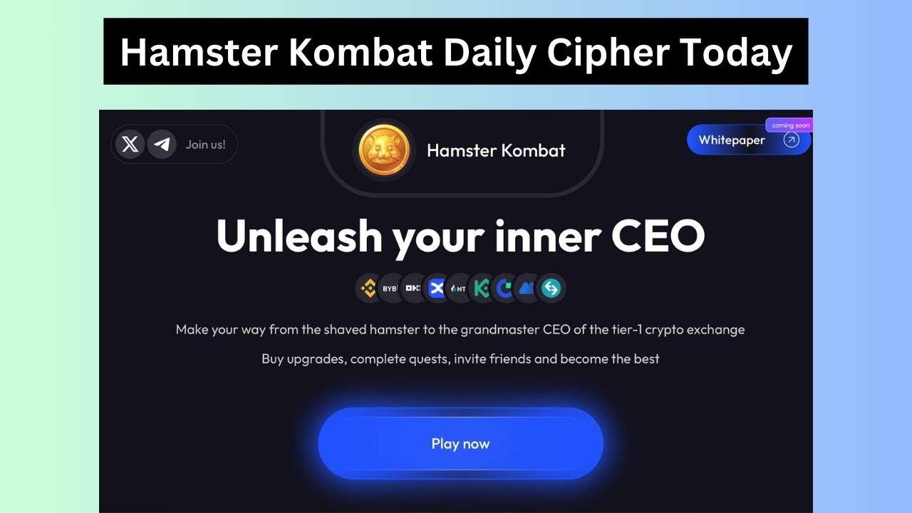 Hamster Kombat Daily Cipher Today