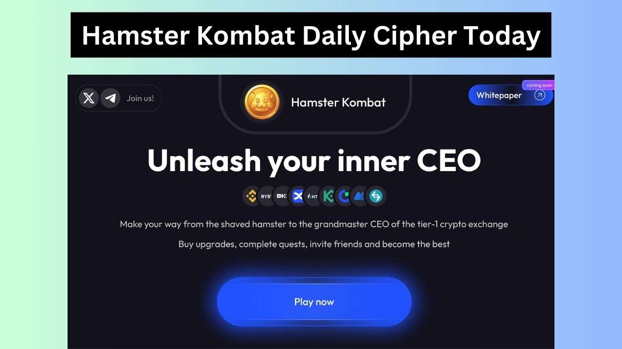 Hamster kombat шифр 6.07